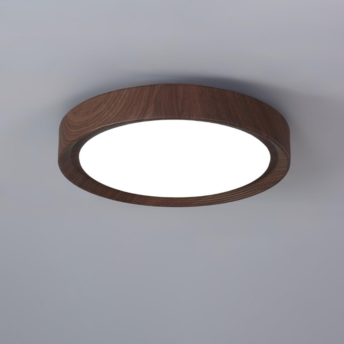 NatuurLicht - Ceiling lamp for a sophisticated look