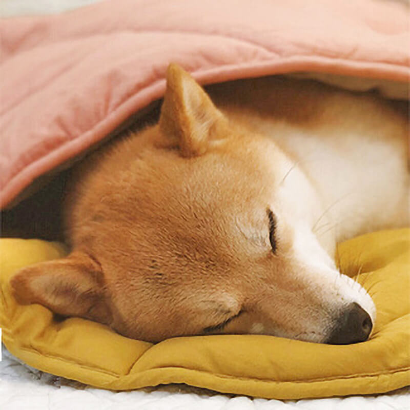 LeafPaws | Comfortable Dog Play Mat