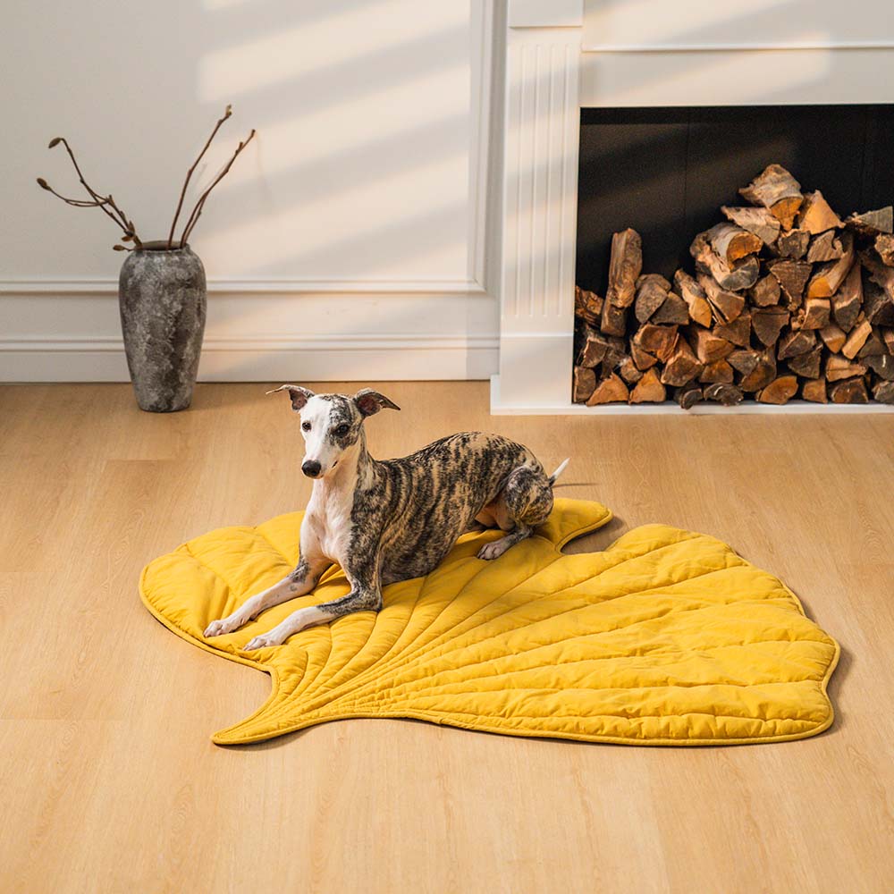LeafPaws | Comfortable Dog Play Mat