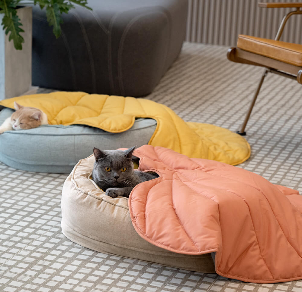 LeafPaws | Comfortable Dog Play Mat