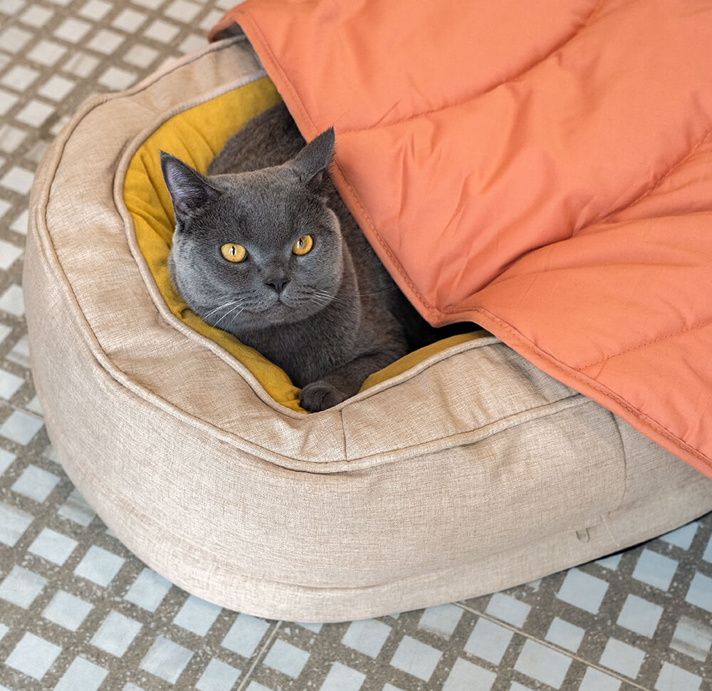 LeafPaws | Comfortable Dog Play Mat