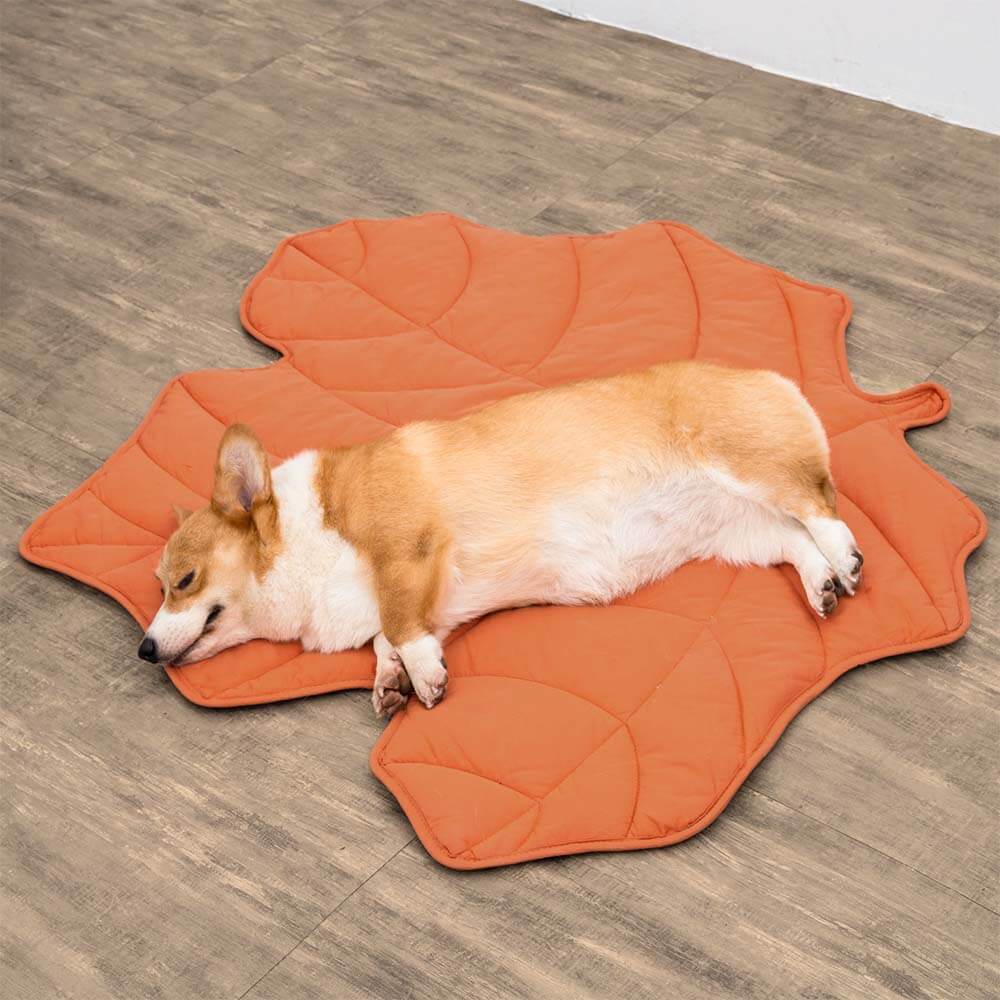 LeafPaws | Comfortable Dog Play Mat