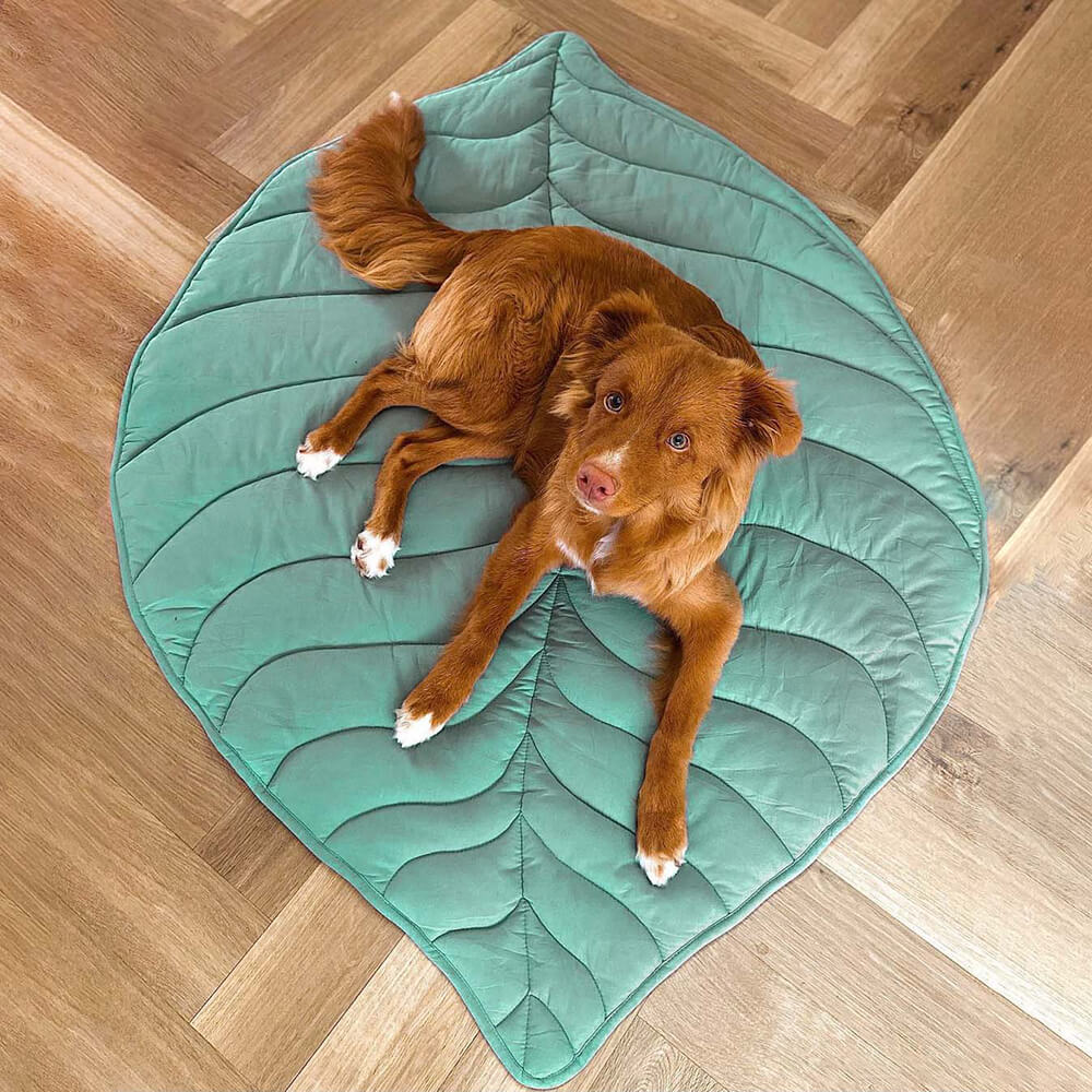 LeafPaws | Comfortable Dog Play Mat