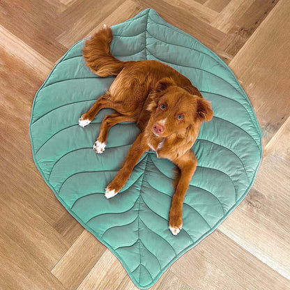 LeafPaws | Comfortable Dog Play Mat